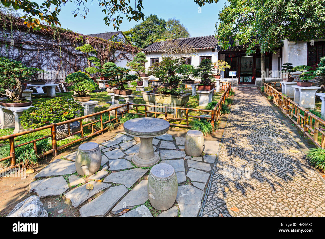 Traditional chinese garden of miniature bonsai trees in pots cultivated in Suzhou lingering garden. Outdoors decoration, fencing and care in front of Stock Photo