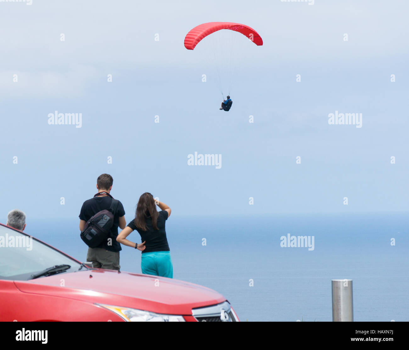 Paragliding at Bald Hill Stanwell Tops in NSW, Australia Stock Photo