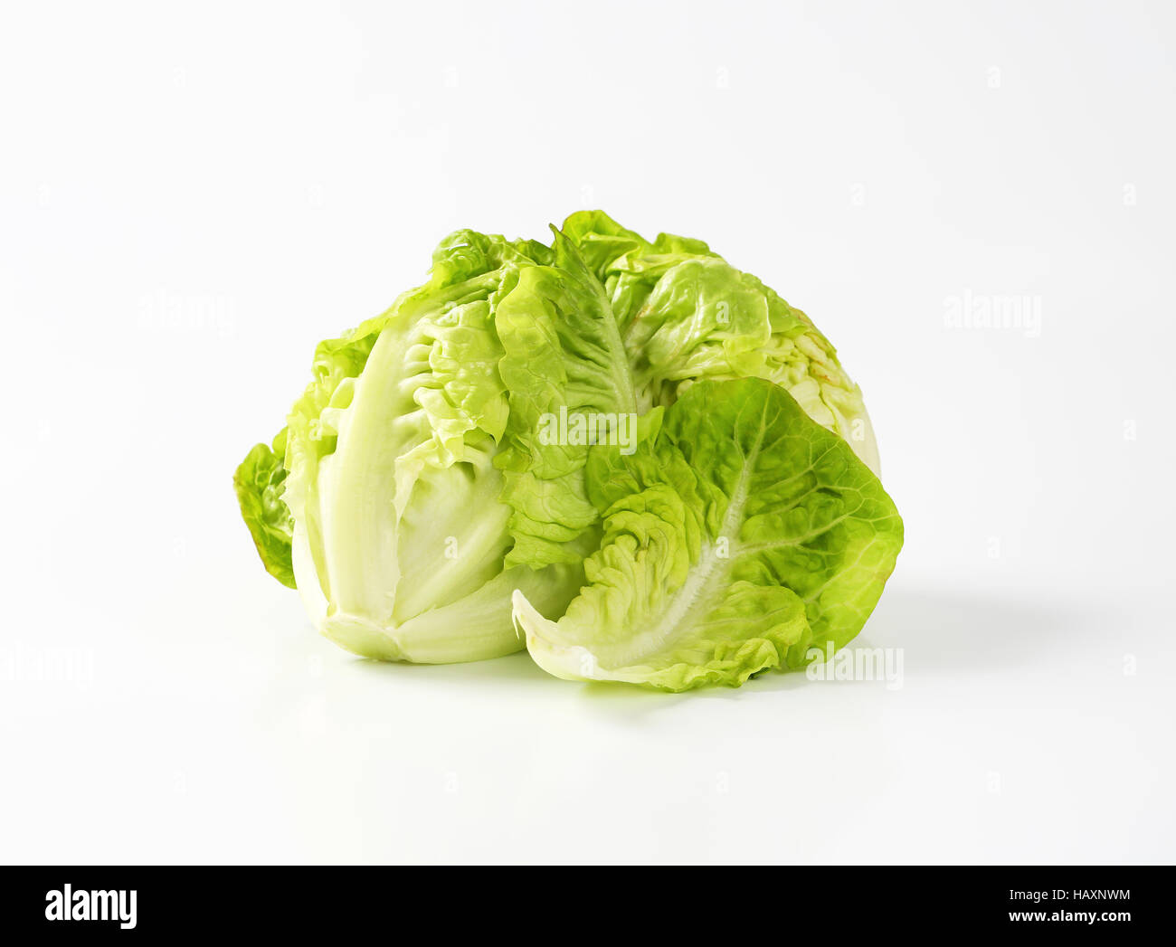 Fresh little gem lettuce heads Stock Photo Alamy
