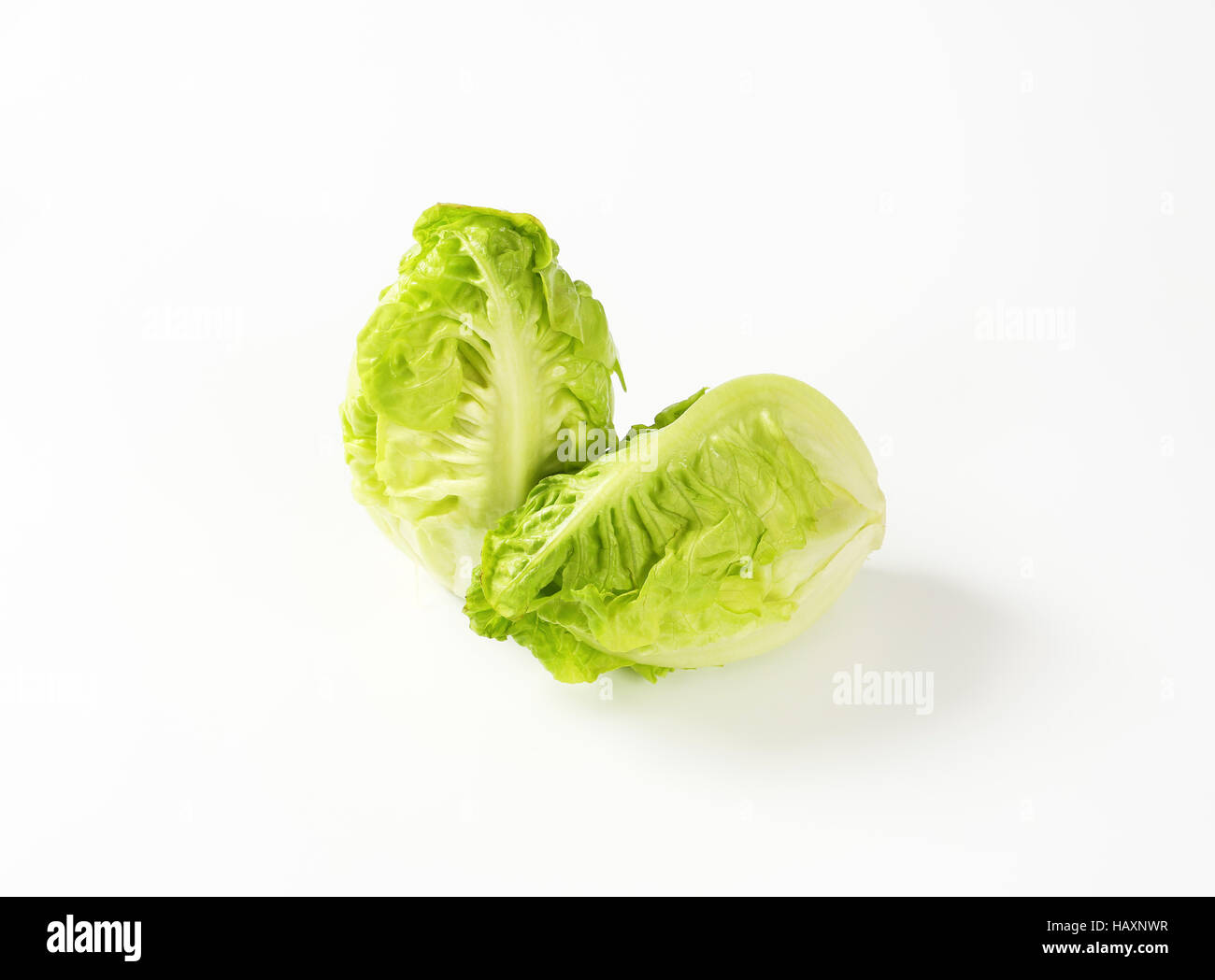 Two fresh little gem lettuce heads Stock Photo Alamy