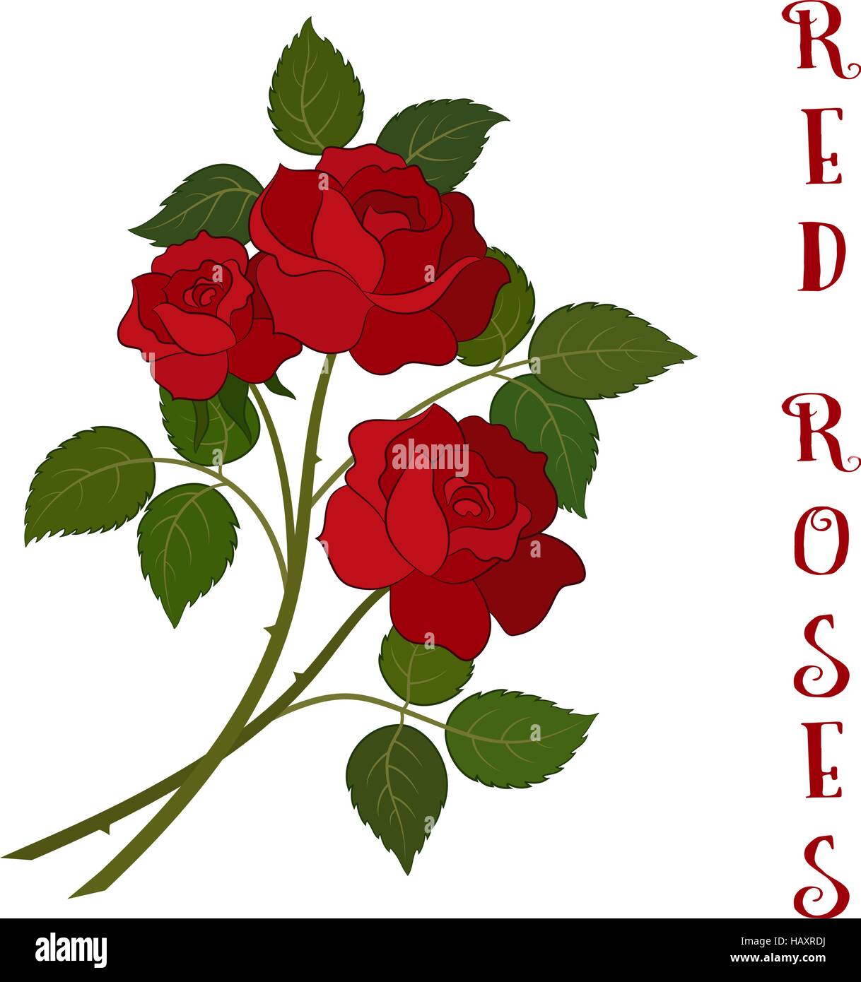 Flowers Bouquet, Red Roses Stock Vector Image & Art - Alamy