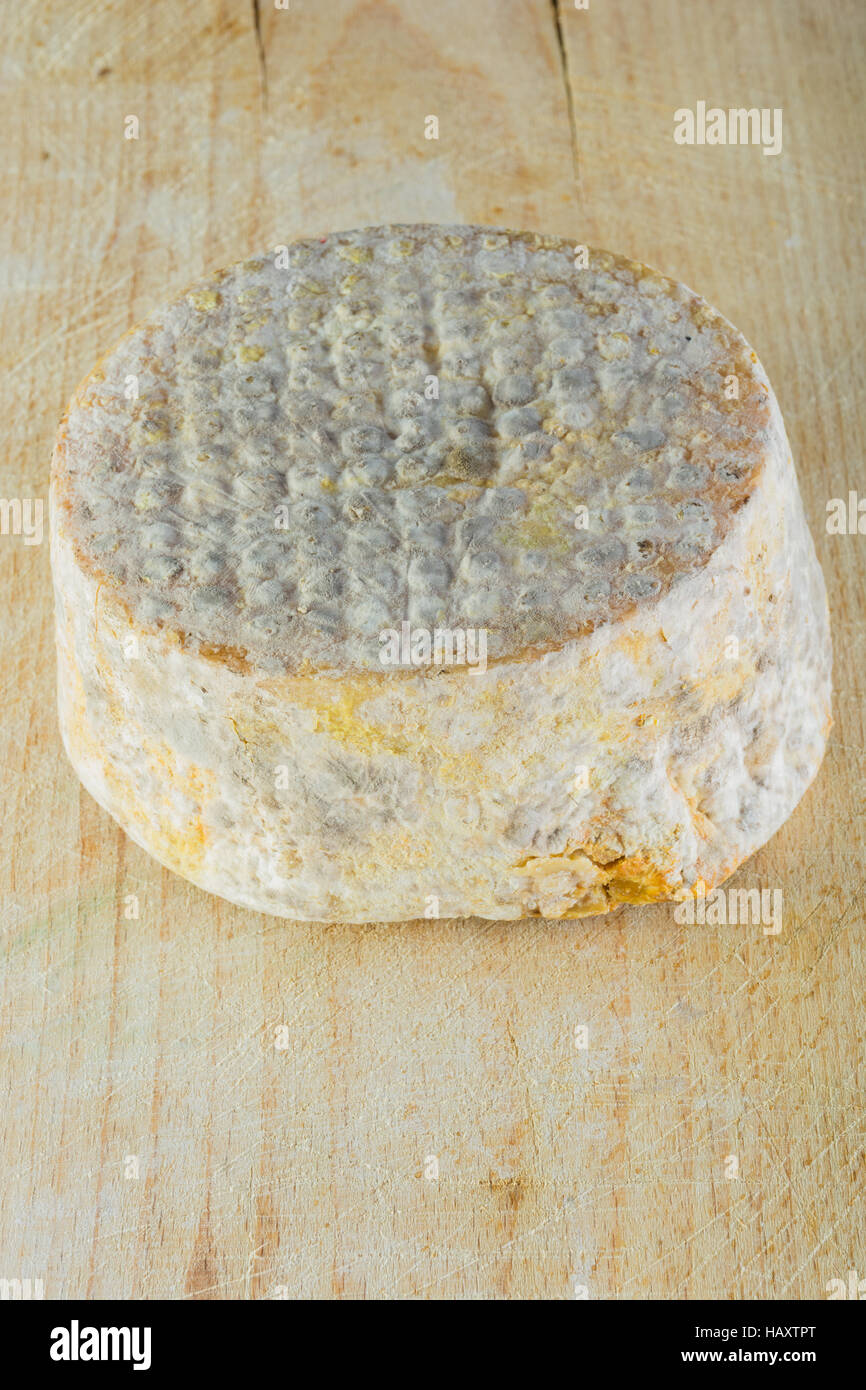 bloomy rind cheese and the penicillium camemberti... Penicillium camemberti hi-res stock photography and images - Alamy