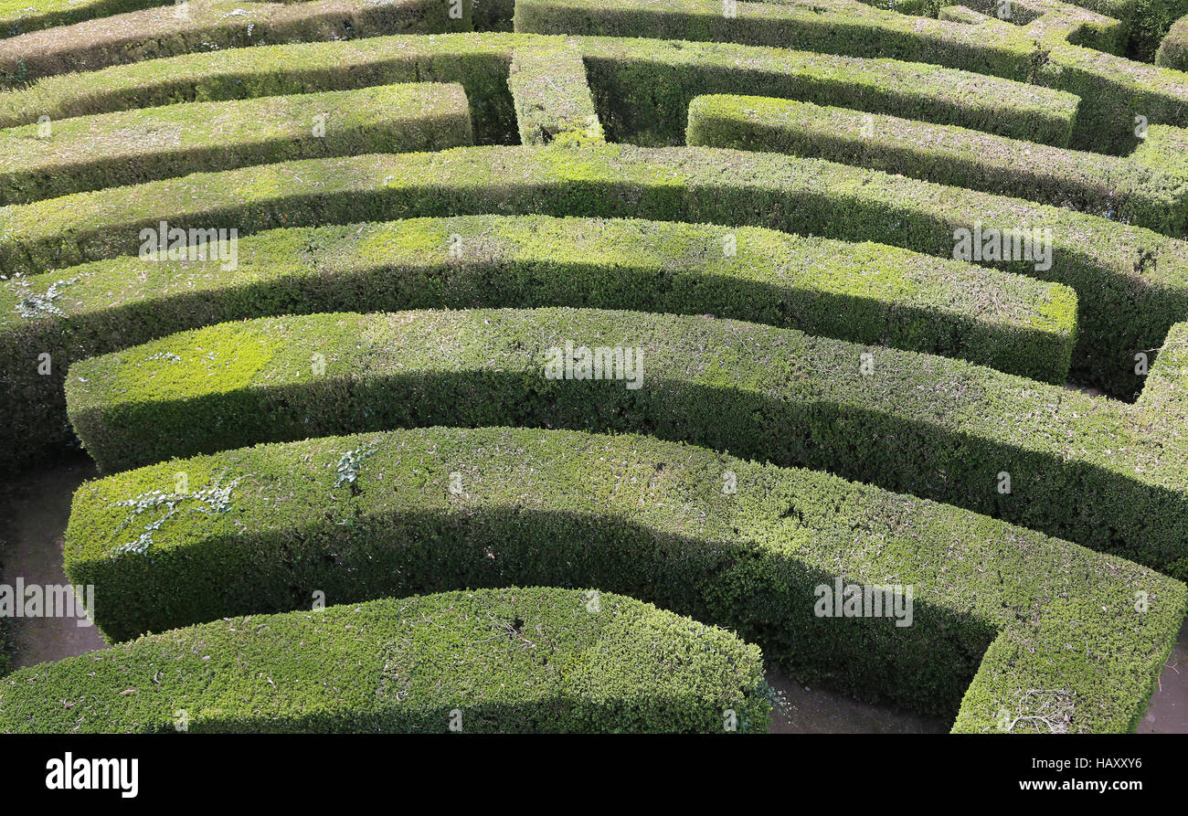 aerial view of an intricate maze of hedges Stock Photo