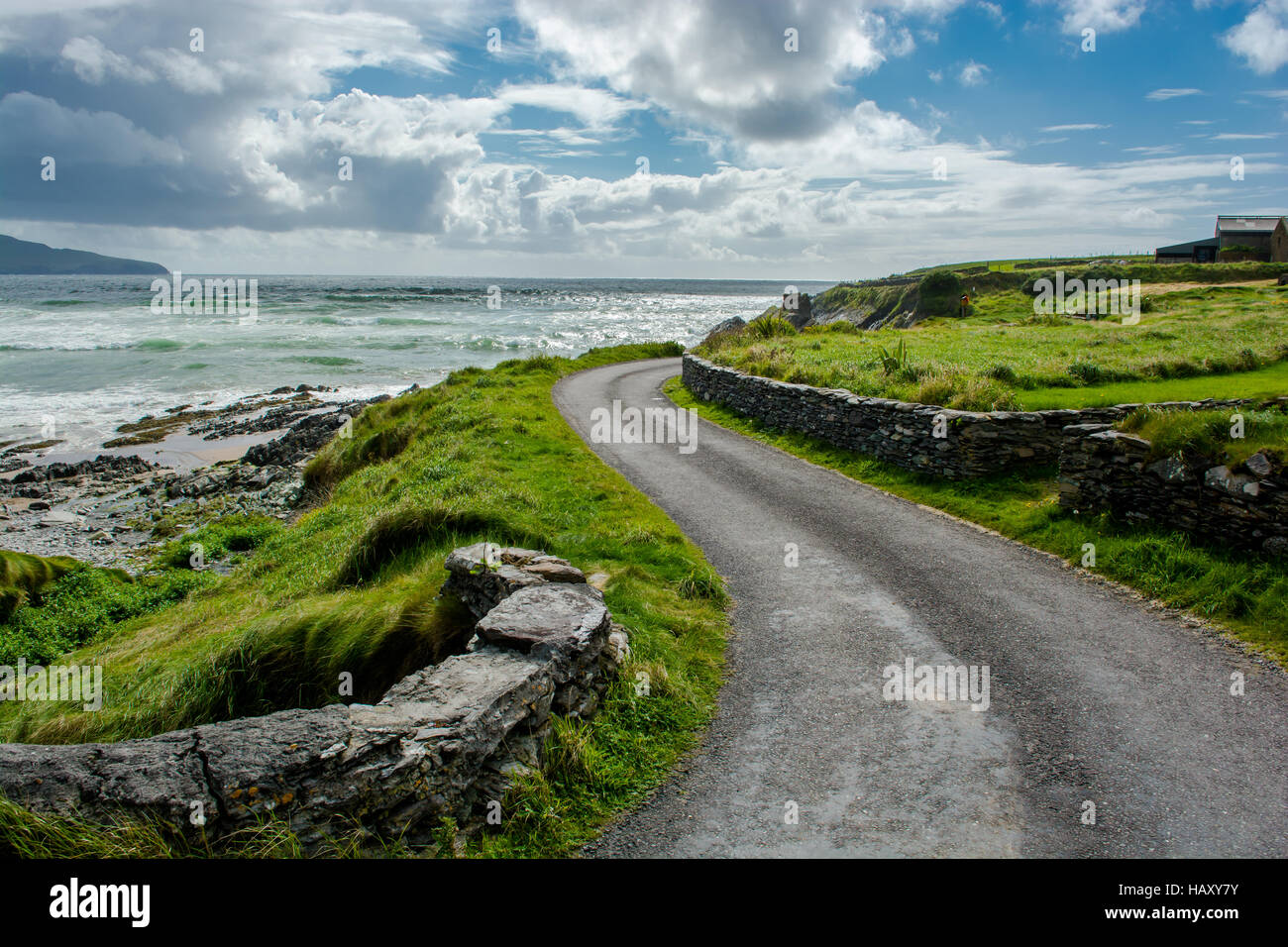 Narrow Coastal Road in Ireland Stock Photo Alamy