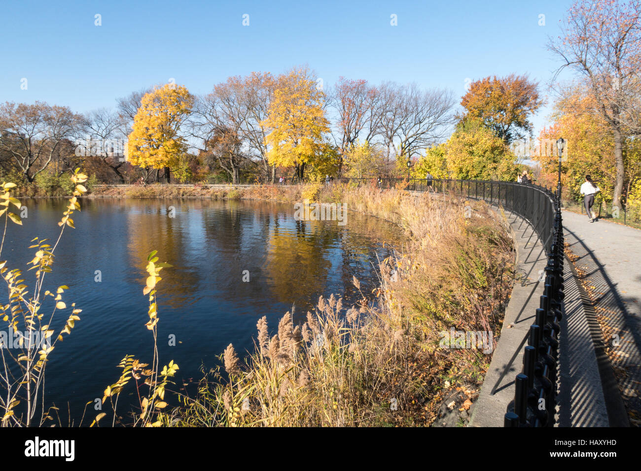 Runner track curve hires stock photography and images Alamy