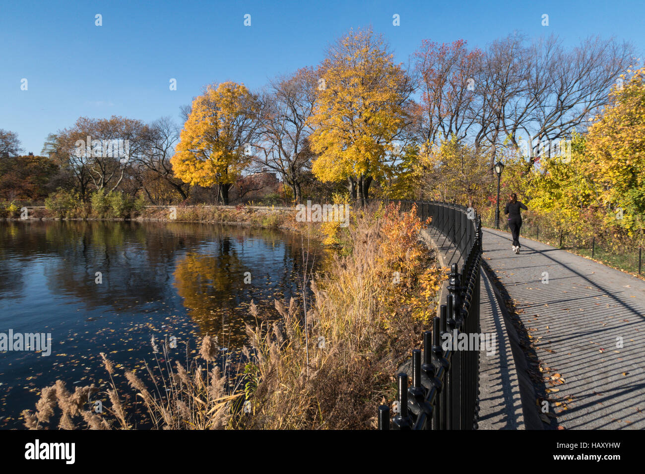 The reservoir running track in central park in the fall, NYC Stock