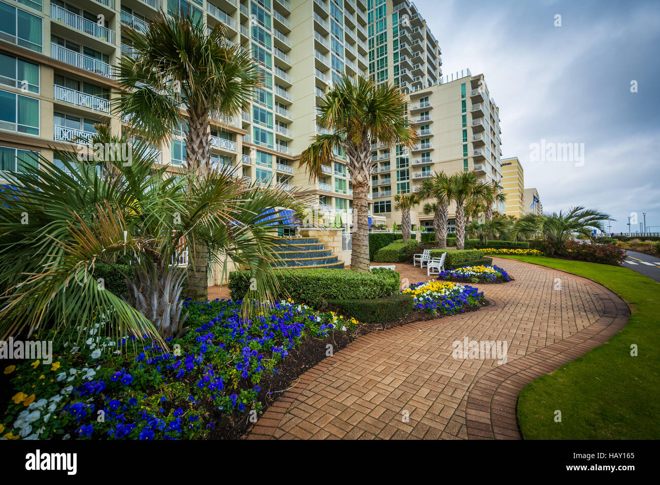 Palm trees, gardens and highrise hotels along the boardwalk in Virginia Beach, Virginia. Stock Photo