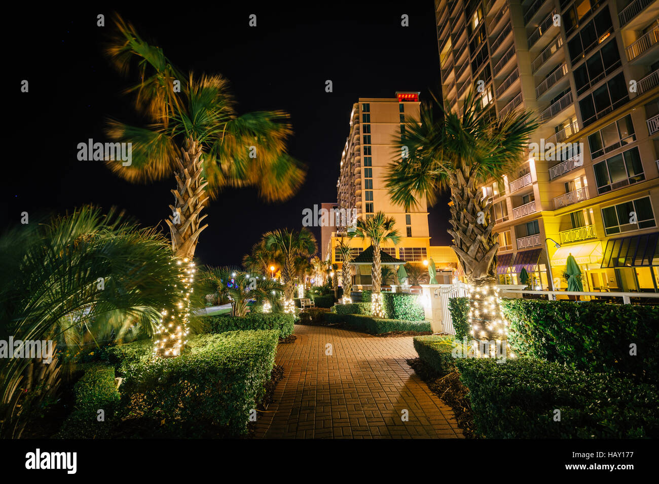 Palm trees and highrise hotels along a walkway at night, in Virginia Beach, Virginia. Stock Photo
