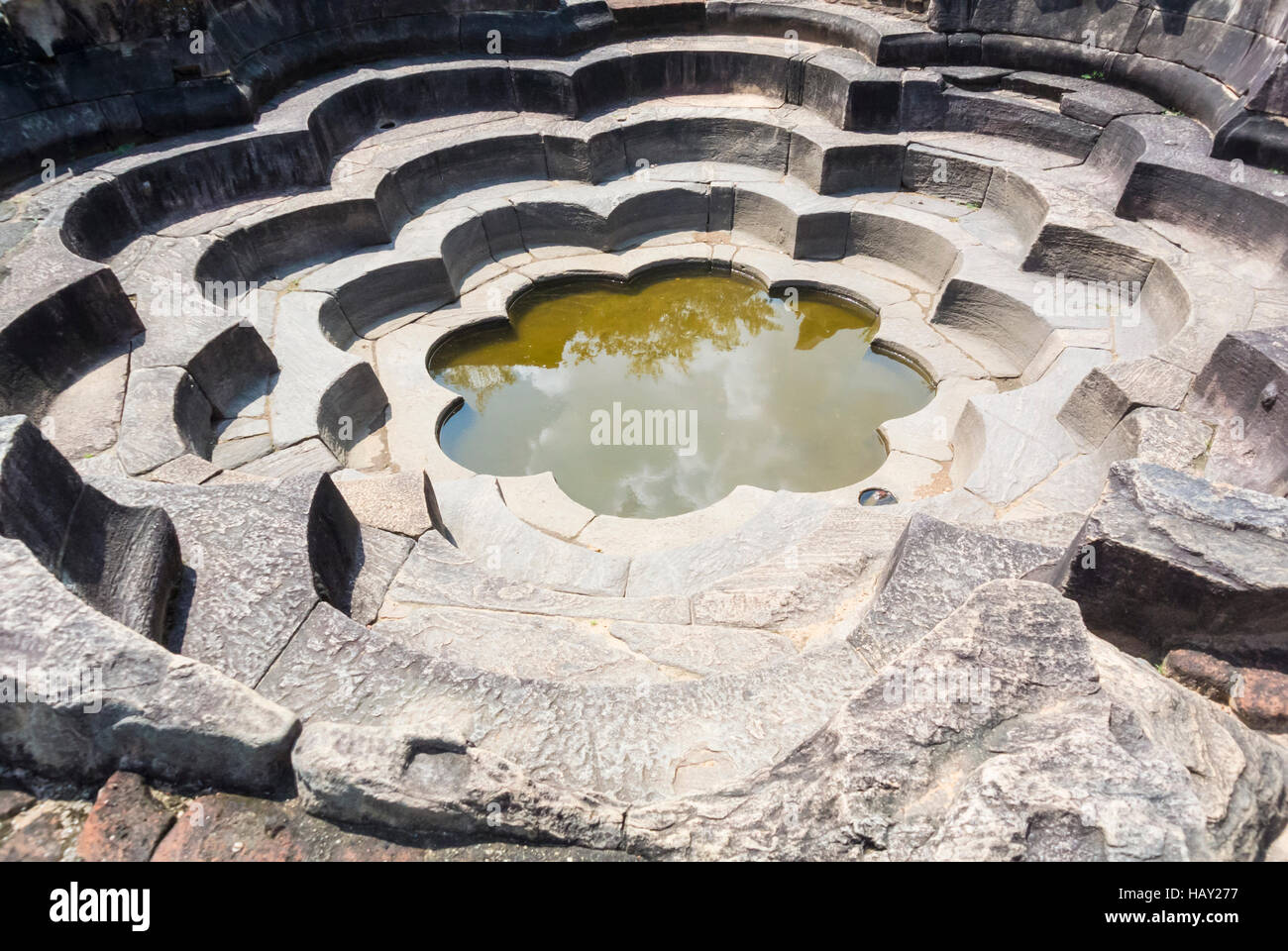 Lotus pond Polonnaruwa North Central Province Sri Lanka Stock Photo Alamy