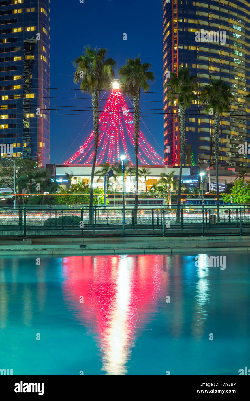 Lights in the shape of a Christmas tree reflecting in a pond. Downtown