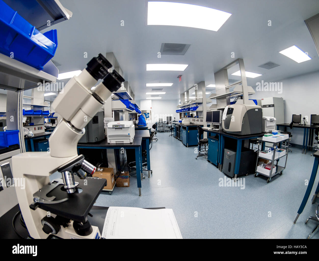 Cellular Immunotherapy QC Lab Stock Photo Alamy