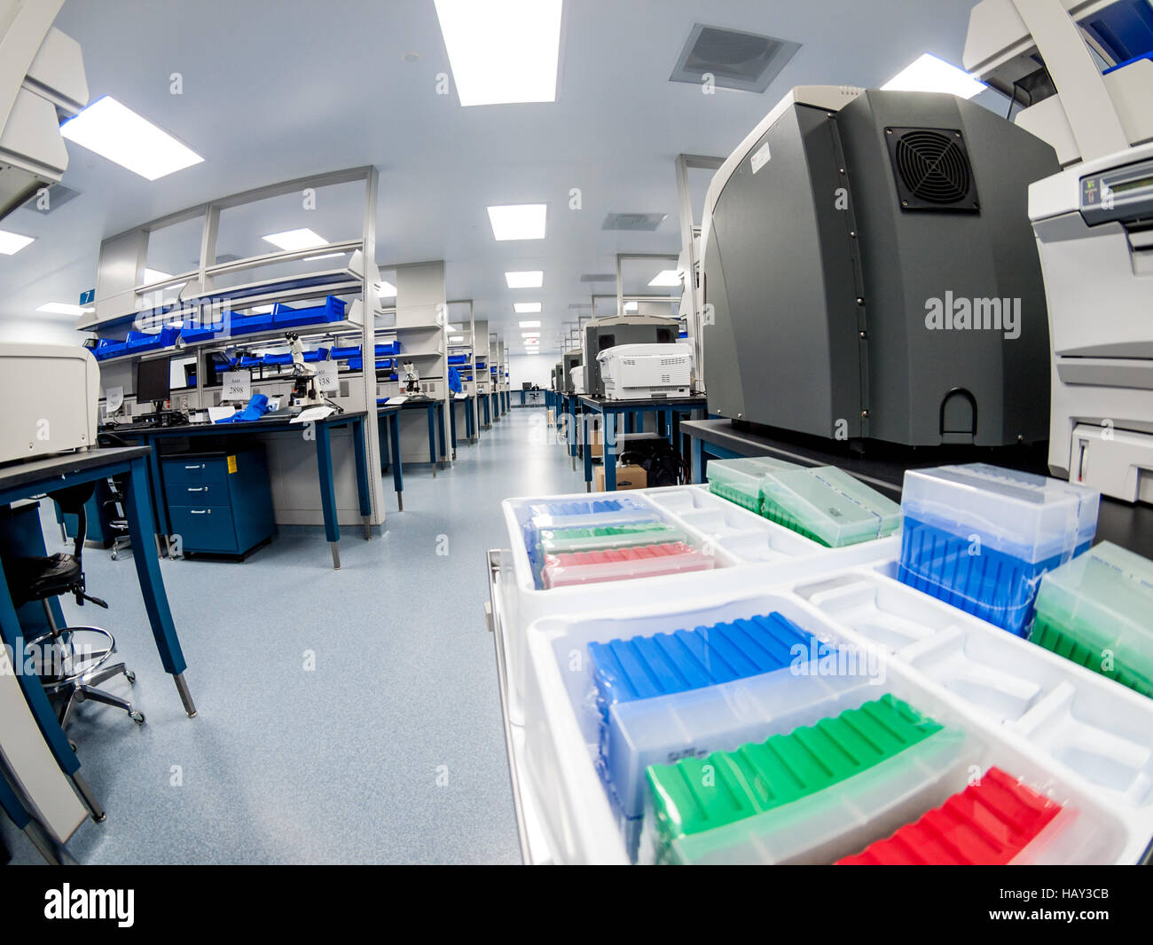 Cellular Immunotherapy QC Lab Stock Photo - Alamy