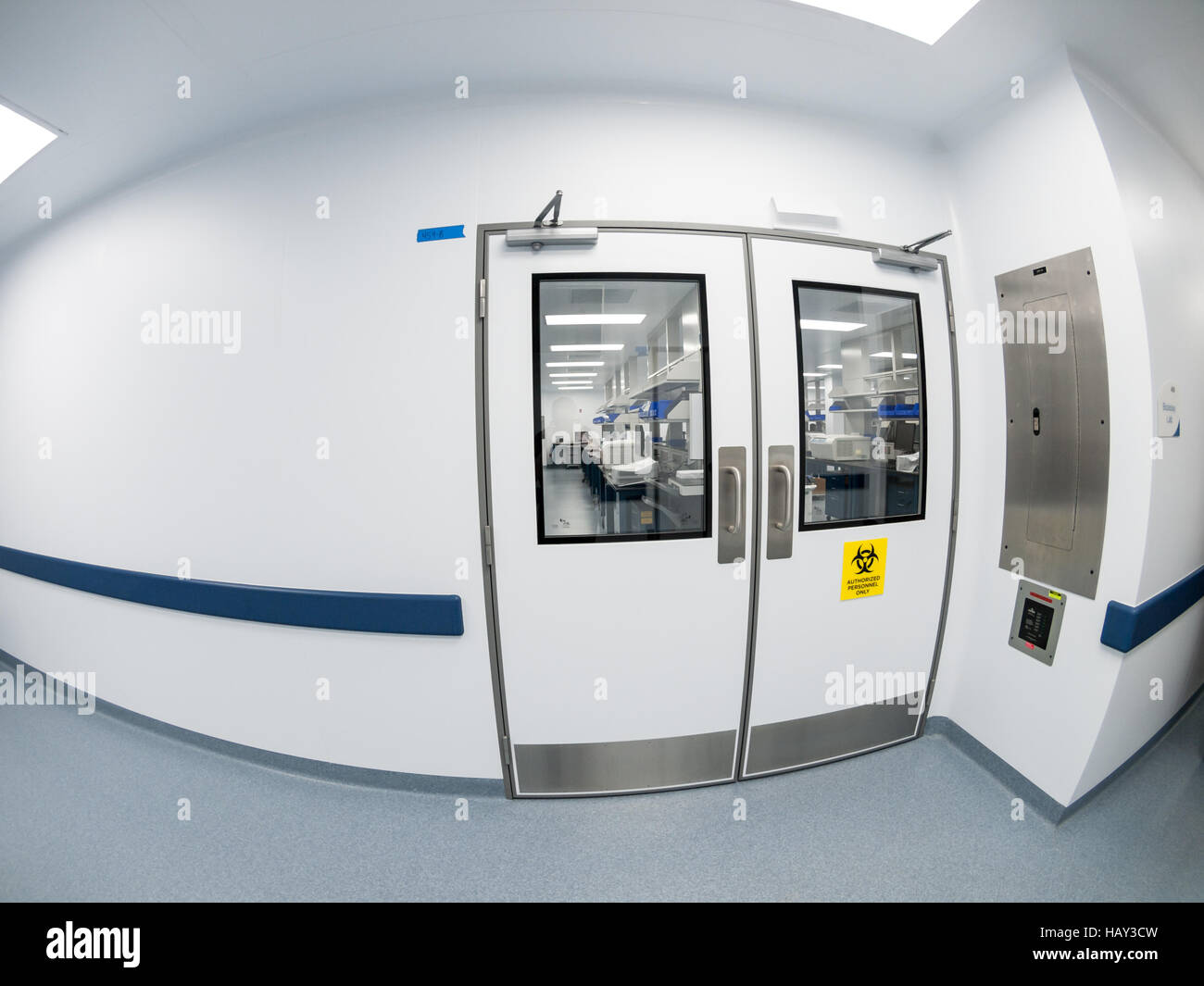 Cellular Immunotherapy QC Lab Stock Photo - Alamy