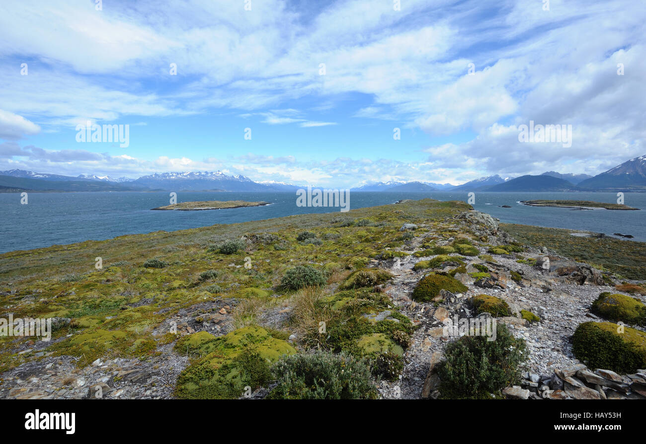 Beagle Channel and windswept vegetation on Isla H with Argentina on the right and Chile to the left. Ushuaia, Tierra del Fuego Stock Photo