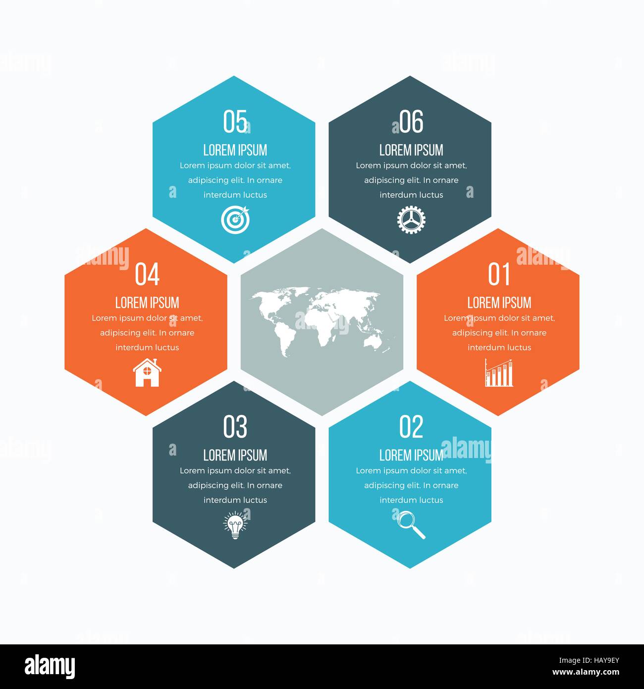Vector illustration infographics six hexagons Stock Vector Image & Art ...
