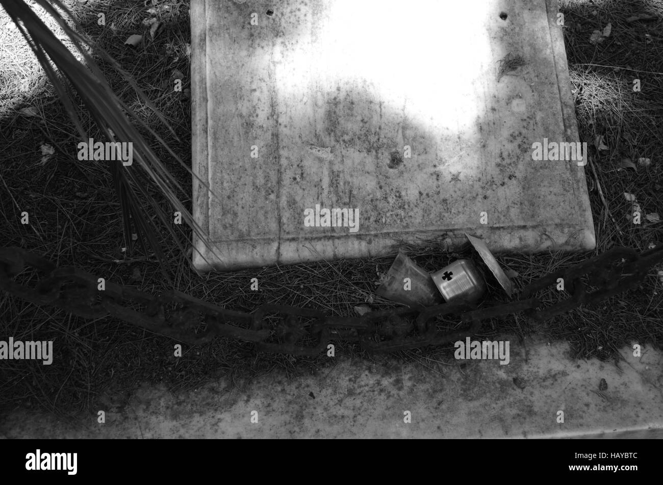 Photographic walk in the cemetery Stock Photo Alamy