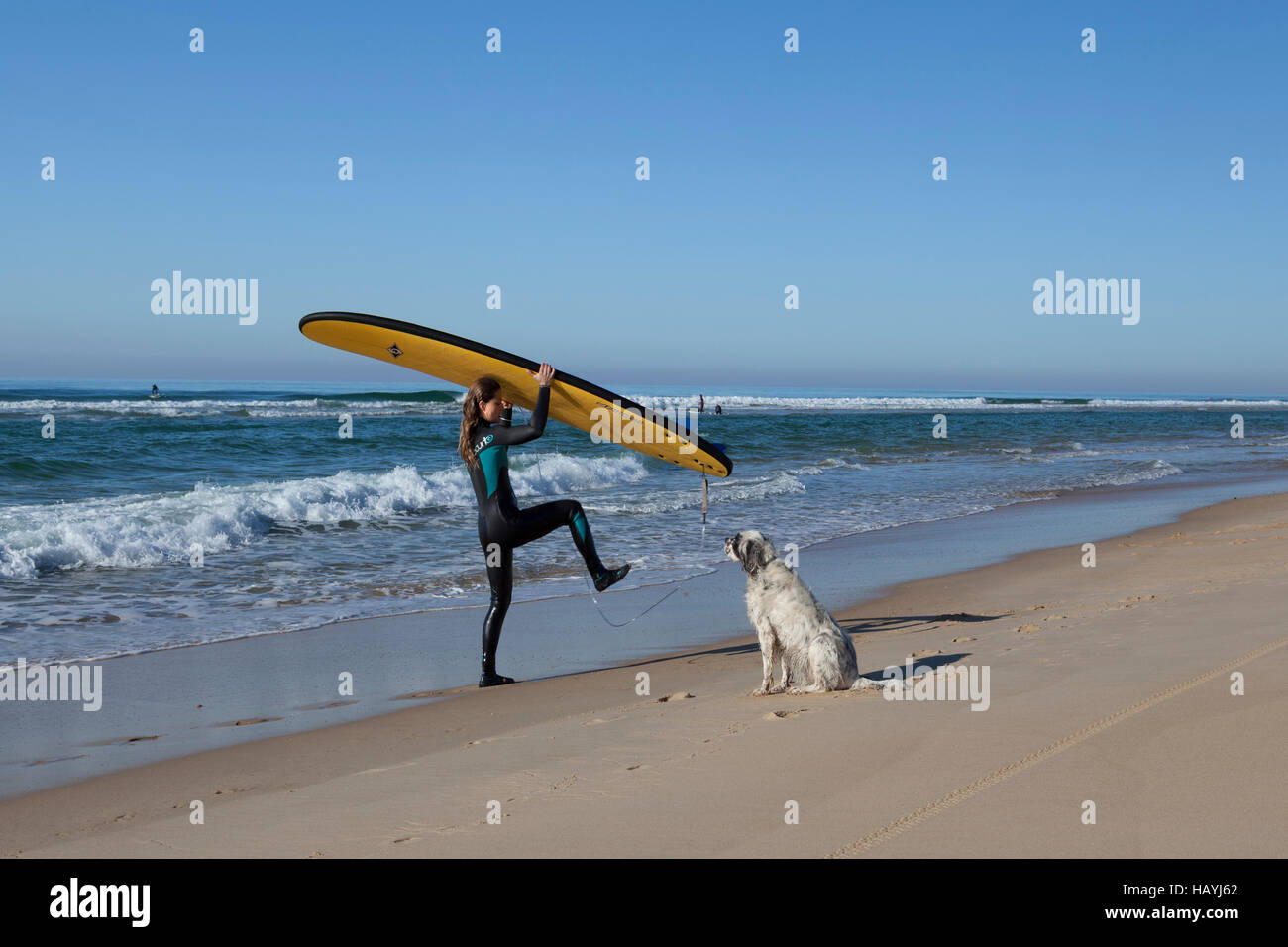 A female surfer coming out of the water and freeing from the leash of her surfboard under the gaze of her dog (Hossegor - France). Stock Photo
