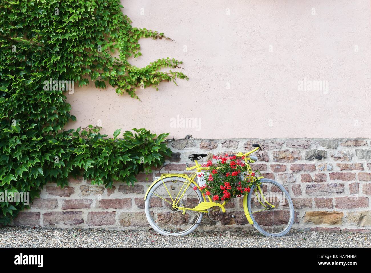 Yellow bike with flowers in Beaujolais, France Stock Photo