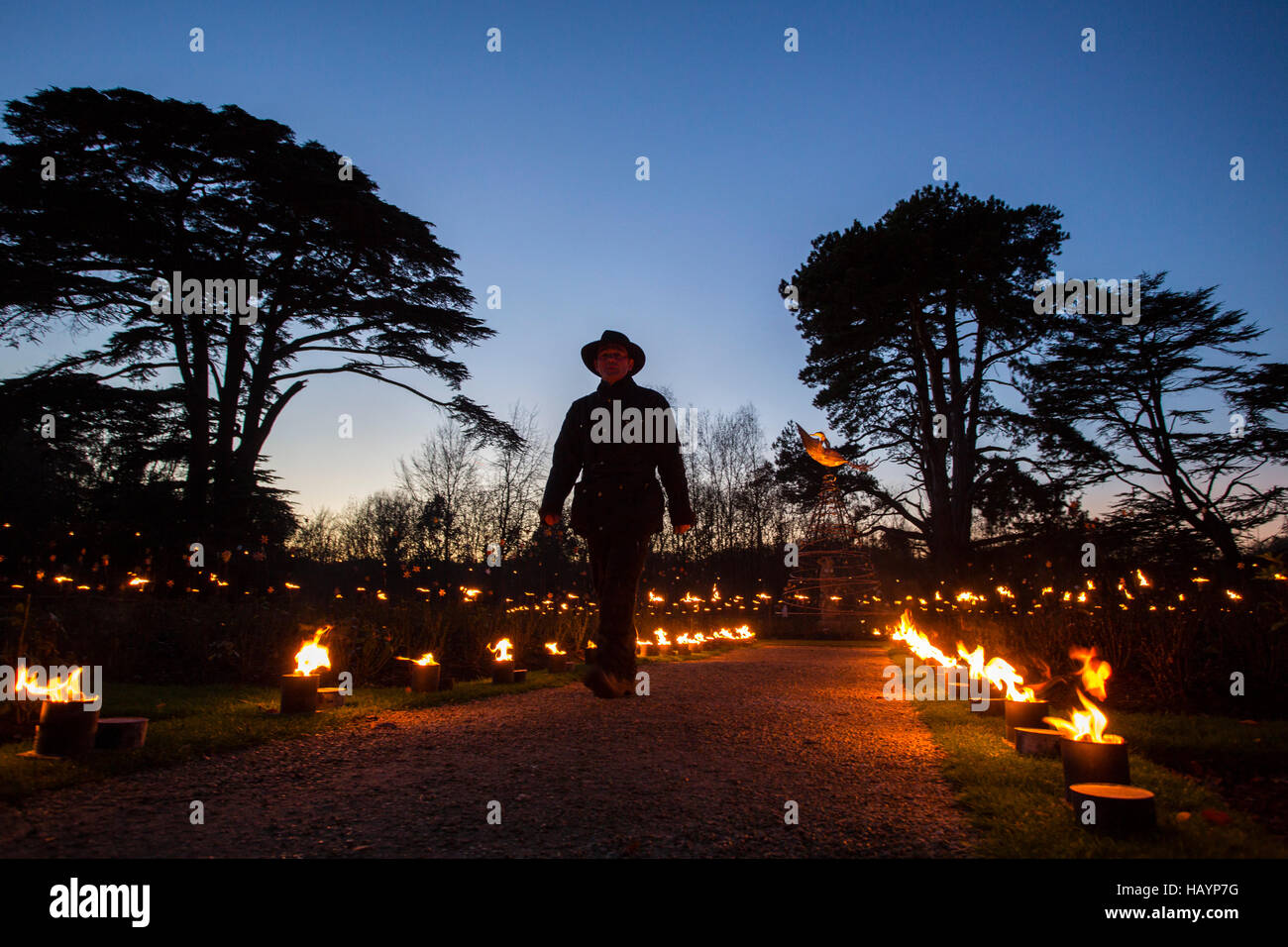 A male in silhouette agaisnt the darkeneing sky walks through the fire paths of the rose garden at Blenheim palace as the agrdens are lit up with festive lights for christmas. Stock Photo