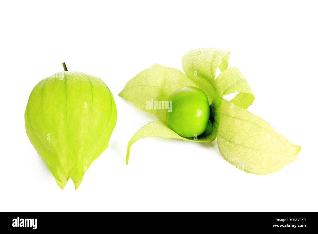 Tomatillo (Physalis philadelphica) Stock Photo