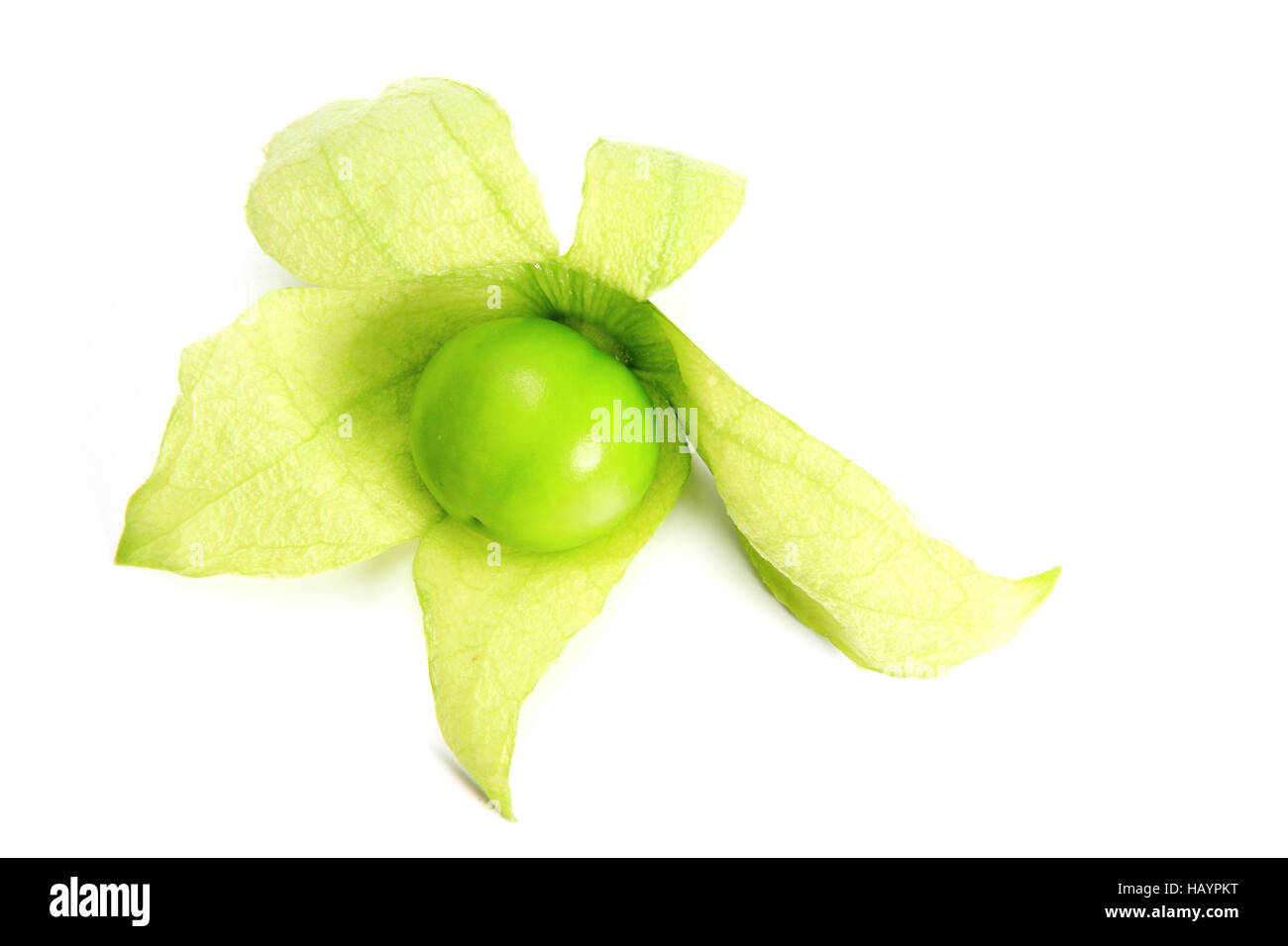 Tomatillo (Physalis philadelphica) Stock Photo