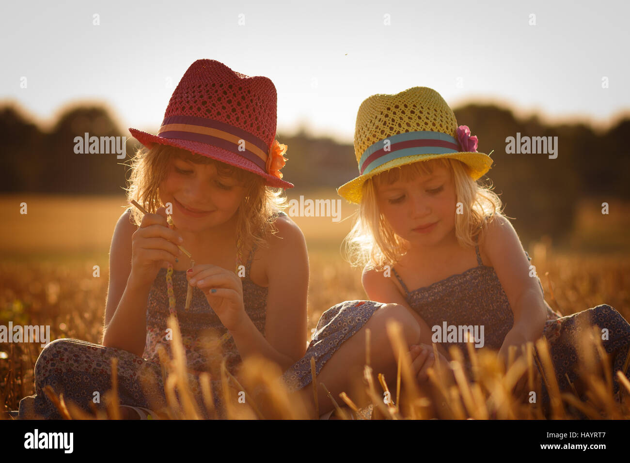 Two young girls playing in a cornfield Stock Photo