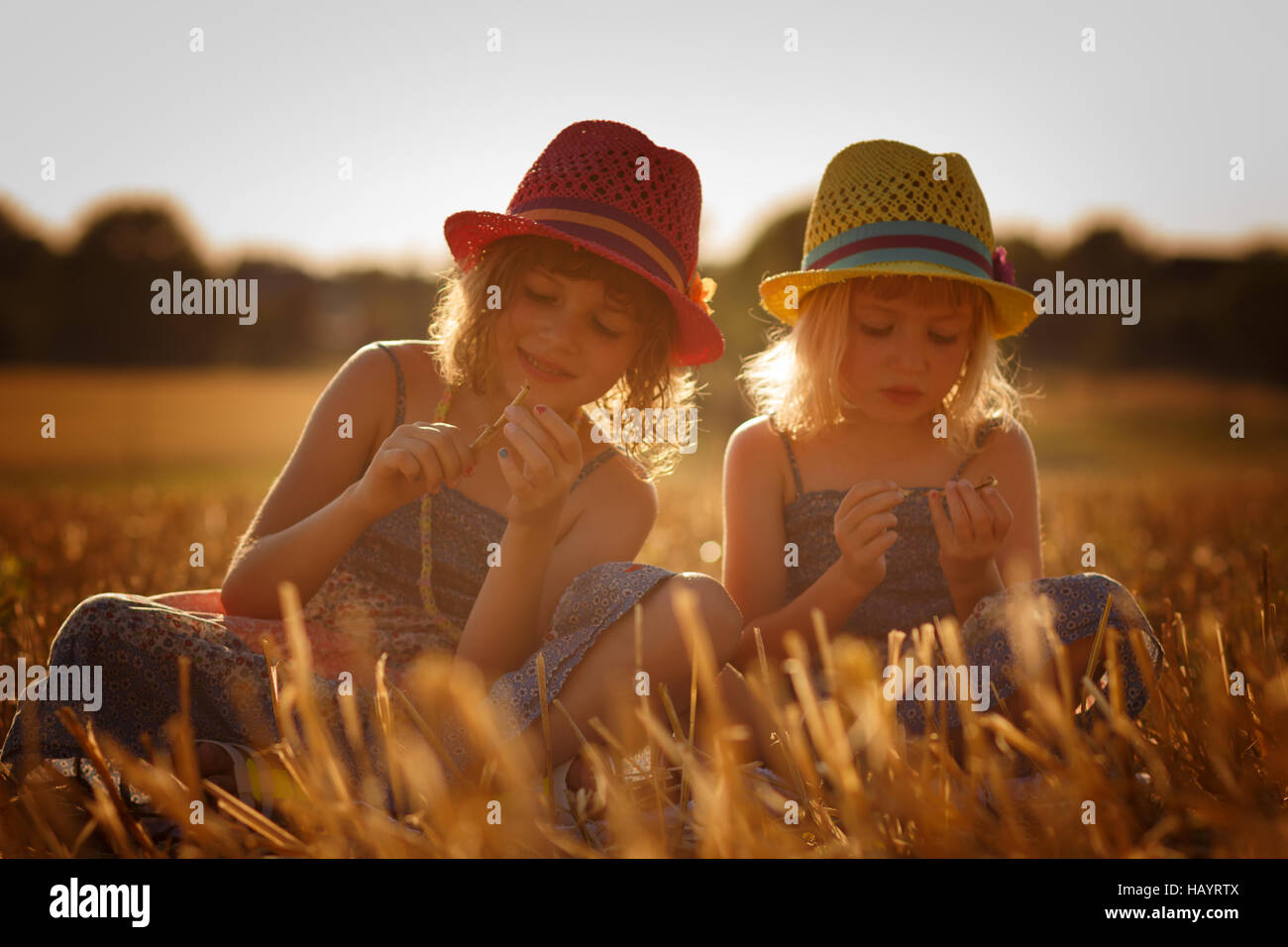 Two girls sitting in a cornfield Stock Photo