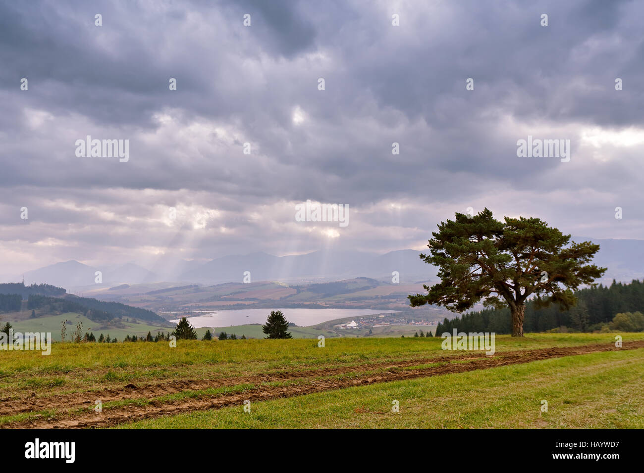 Slovakia autumn cloudy morning panorama. Rural fall mountain scene. Lake in valley. Lone tree Stock Photo