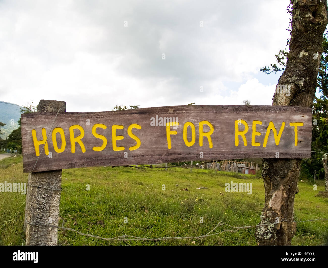 Rent horses hires stock photography and images Alamy