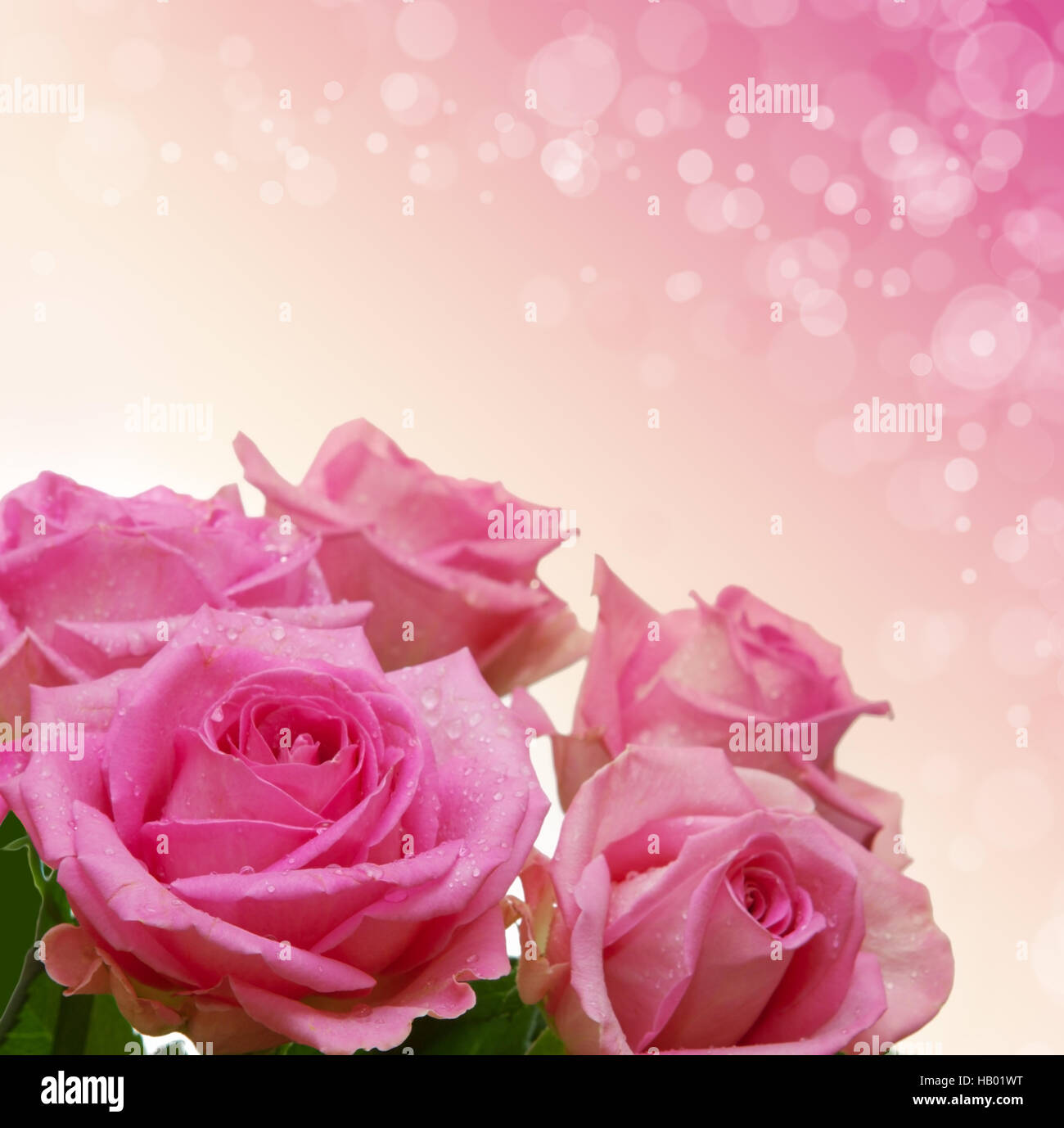 Pink roses bouquet isolated Stock Photo - Alamy