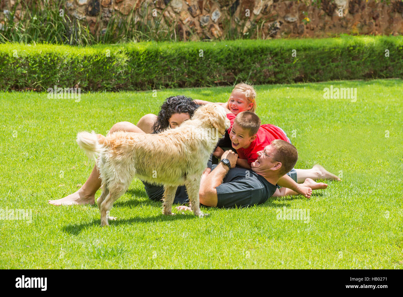 Family Fun on the Lawn Stock Photo
