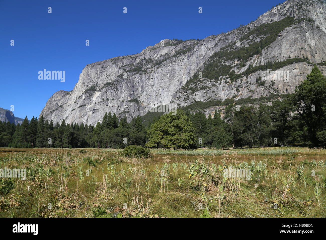 Yosemite Nationalpark Stock Photo