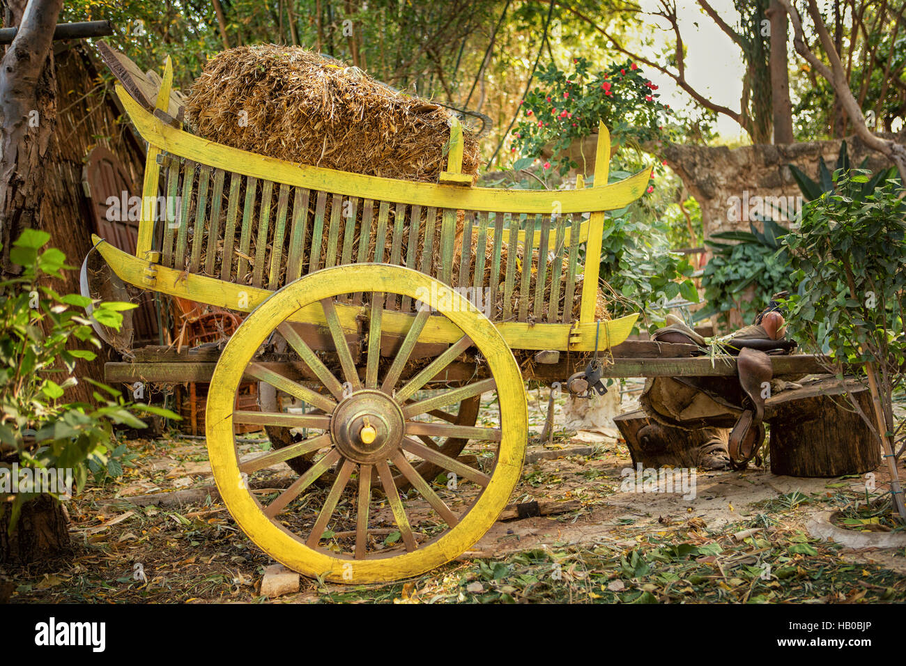 Colorful wooden cart with hay stands on a farmstead Stock Photo
