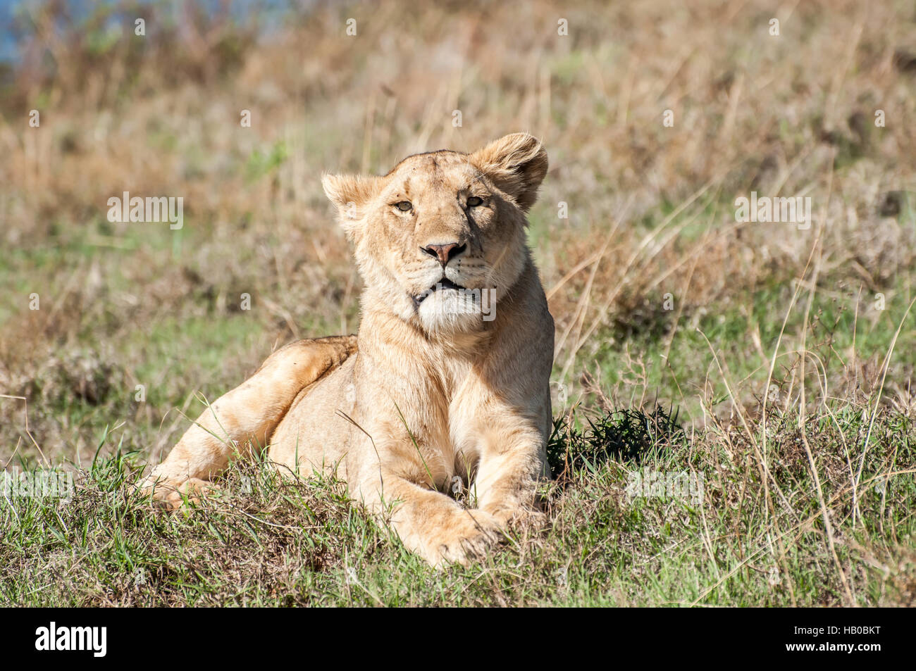 Respect rest hi-res stock photography and images - Alamy