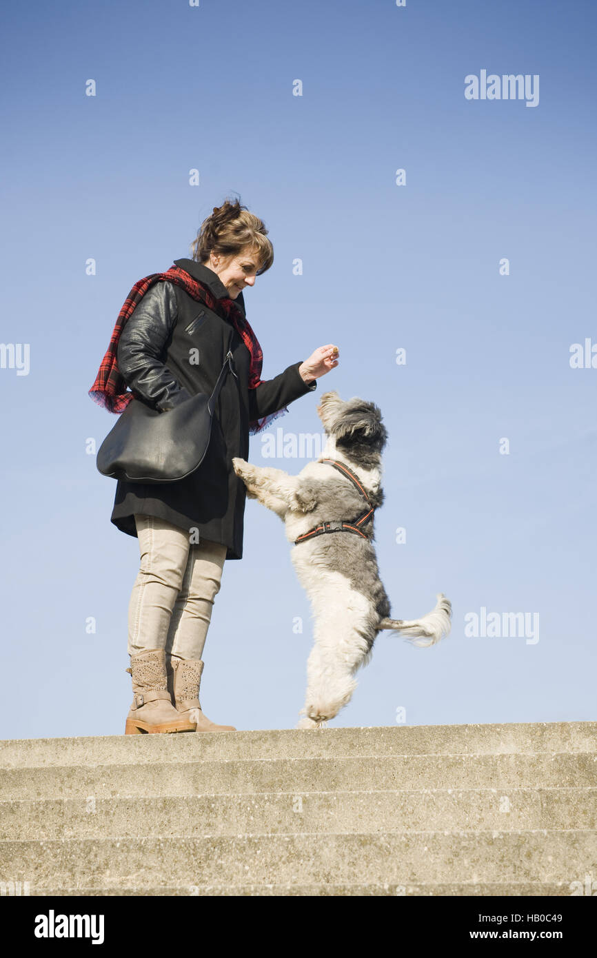 mistress with standing dog Stock Photo Alamy