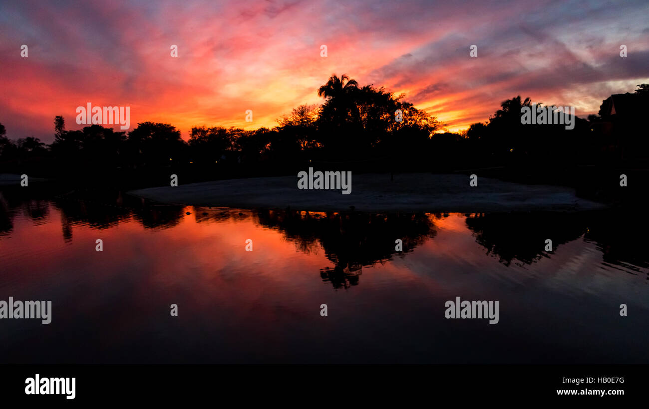 Hammocks Stock Photos & Hammocks Stock Images Alamy