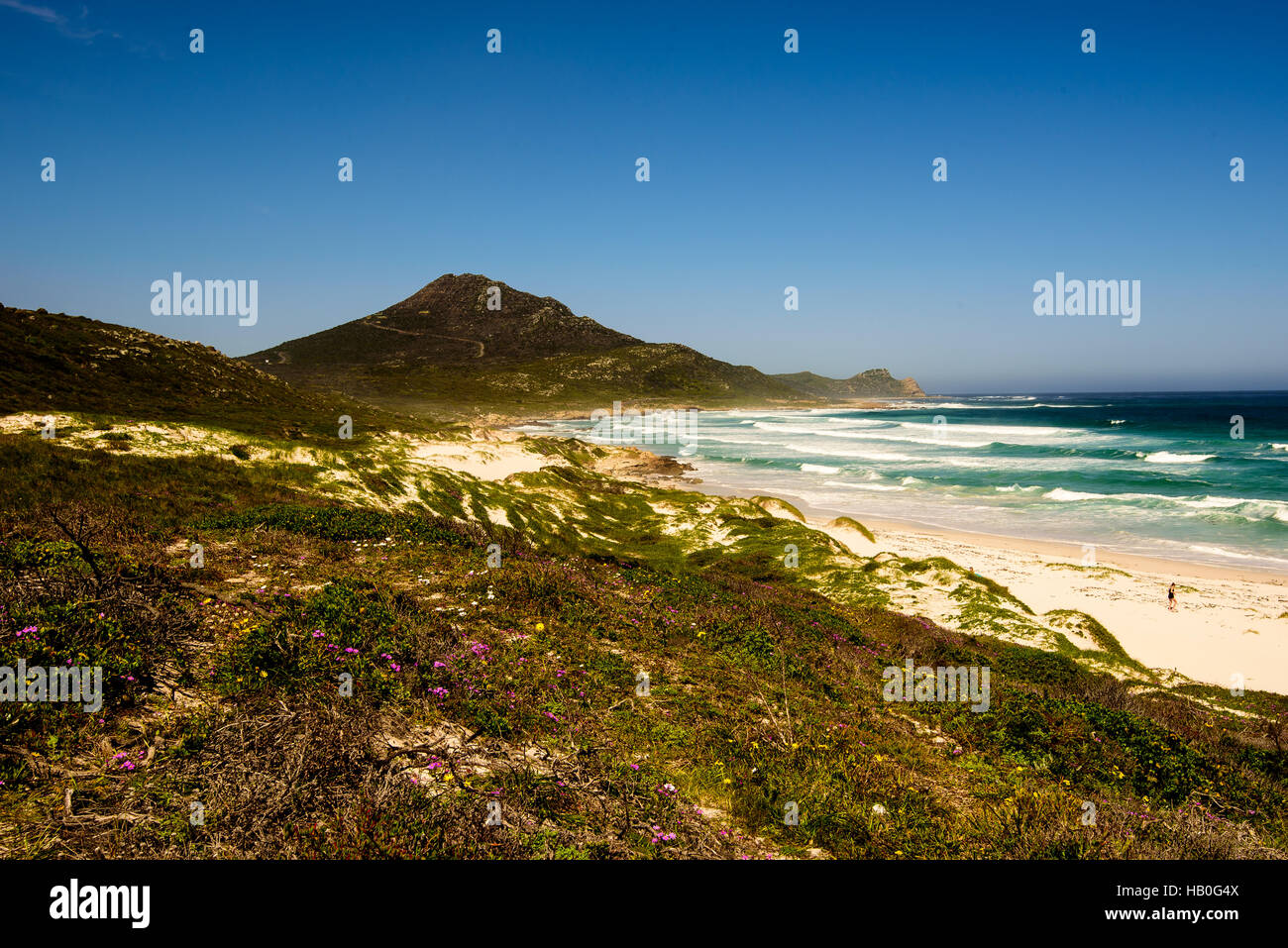 View of the cape peninsula Stock Photo