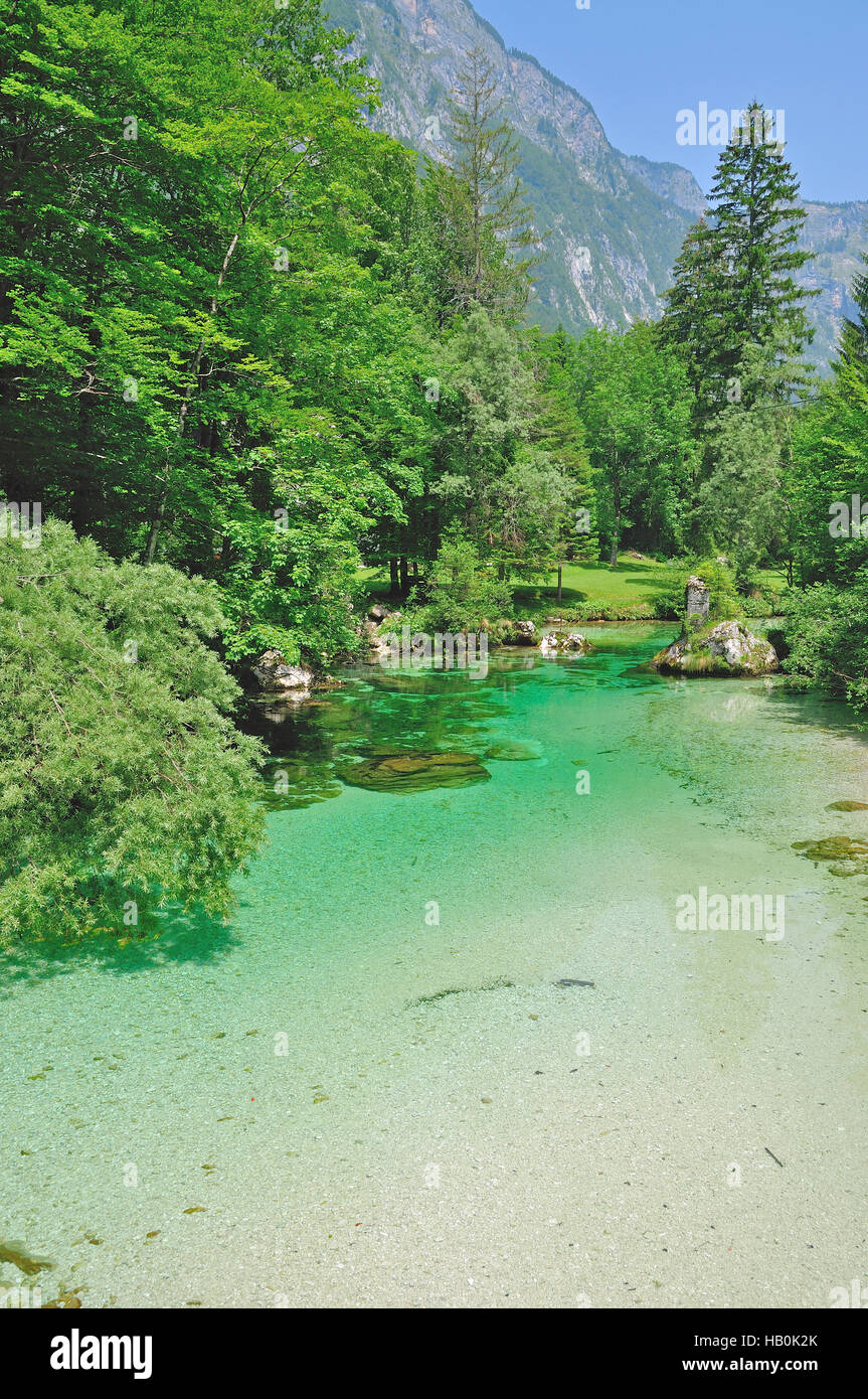 Sava Bohinjka River Slovenia Stock Photo Alamy