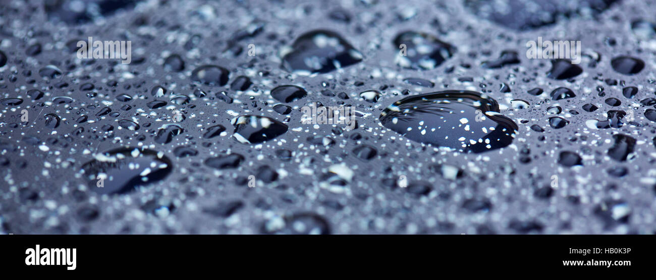 Rain water drops. Stock Photo