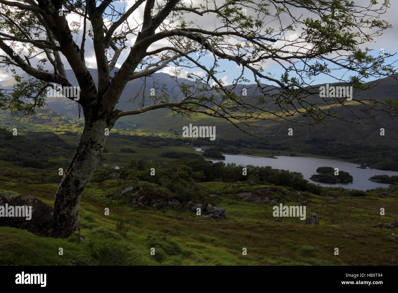 Upper Lake, Killarney National Park, Ireland Stock Photo Alamy