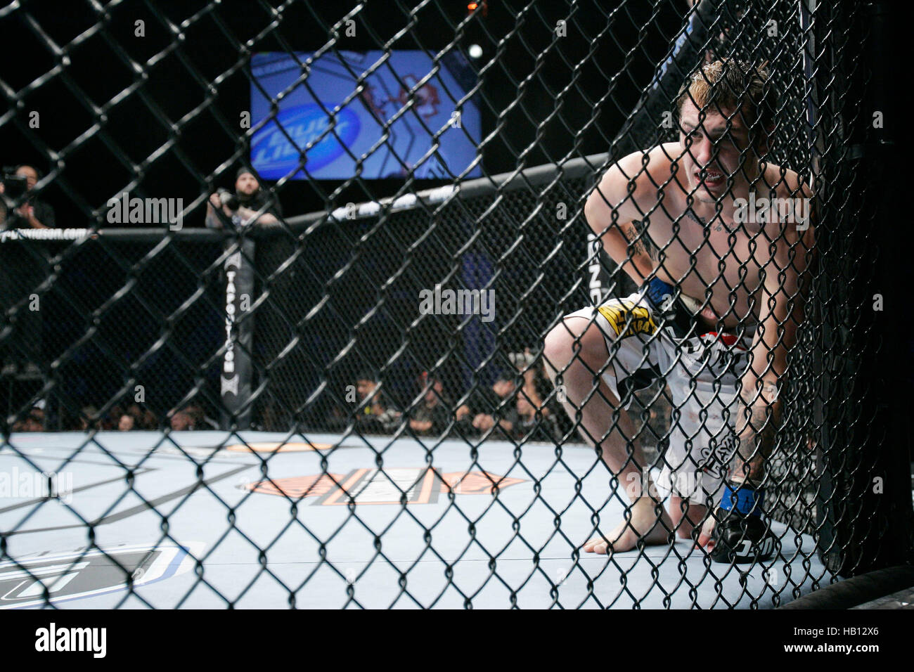 UFC fighter Dan Lauzon doubles in pain after being kicked in the groin
