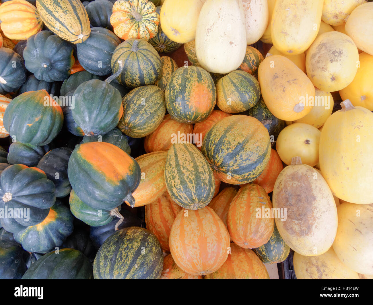 Pile of winter vegetables hi-res stock photography and images - Alamy