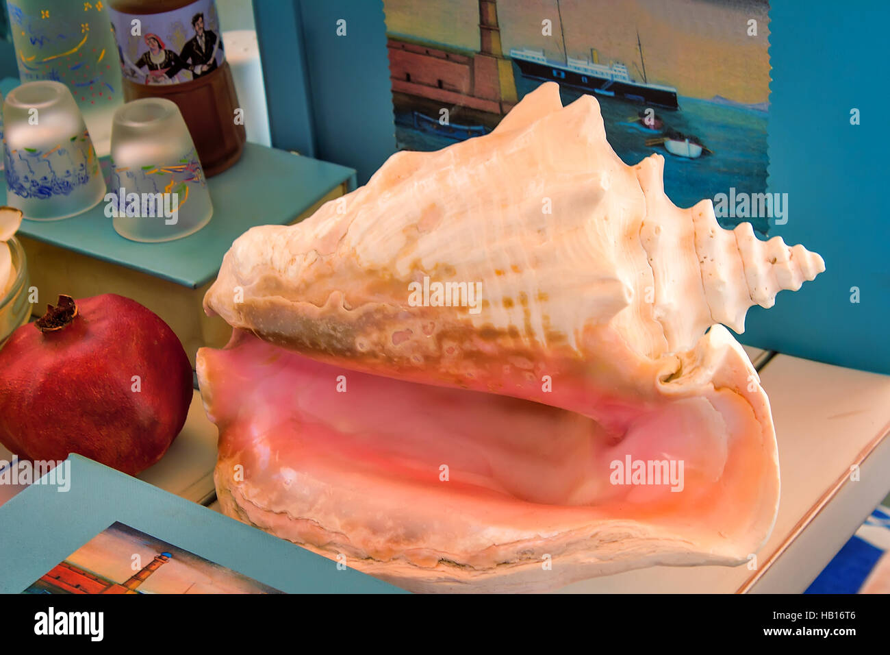 Still life: sea shell, book, fruit, flowers. Stock Photo