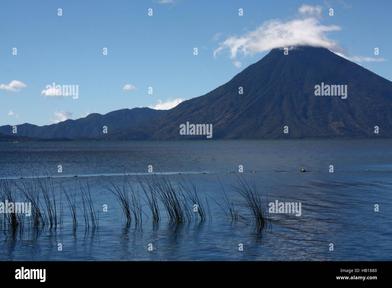 Reed in left foreground, view over Lago Atitlan to Volcano in background. blue sky, sparse clouds, cloud around tip of volcano Stock Photo