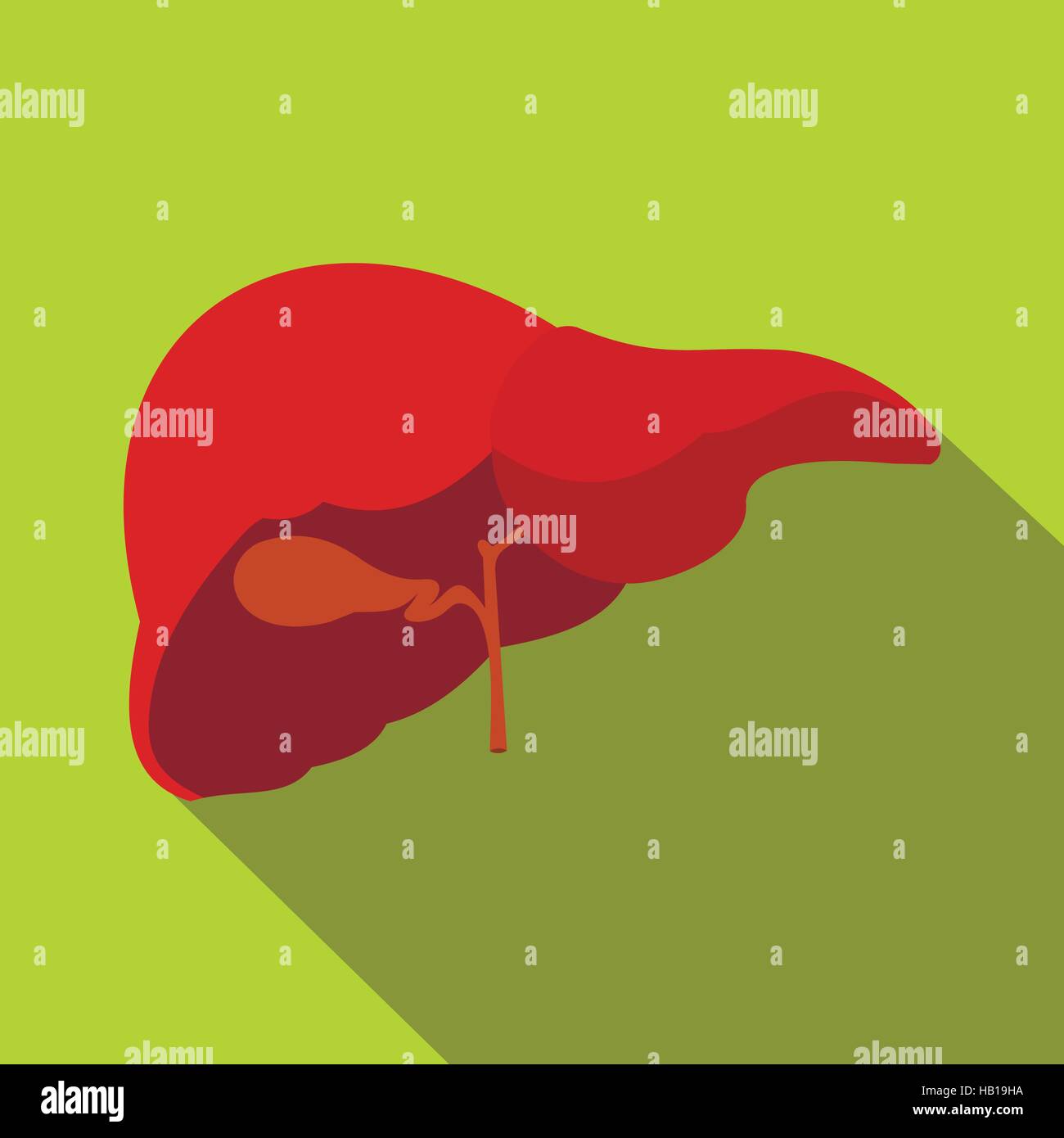 Human liver flat icon with shadow Stock Vector Image & Art - Alamy