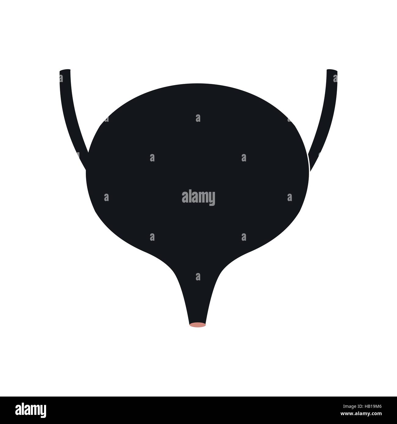 Bladder black icon Stock Vector Image & Art - Alamy