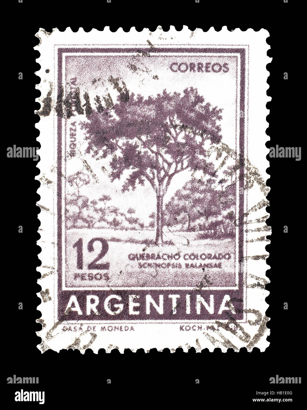 Cancelled postage stamp printed by Argentina, that shows Red Quebracho tree, circa 1962. Stock Photo