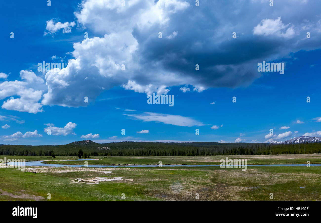 View of the wilderness on a road trip within Yellowstone National Park Stock Photo