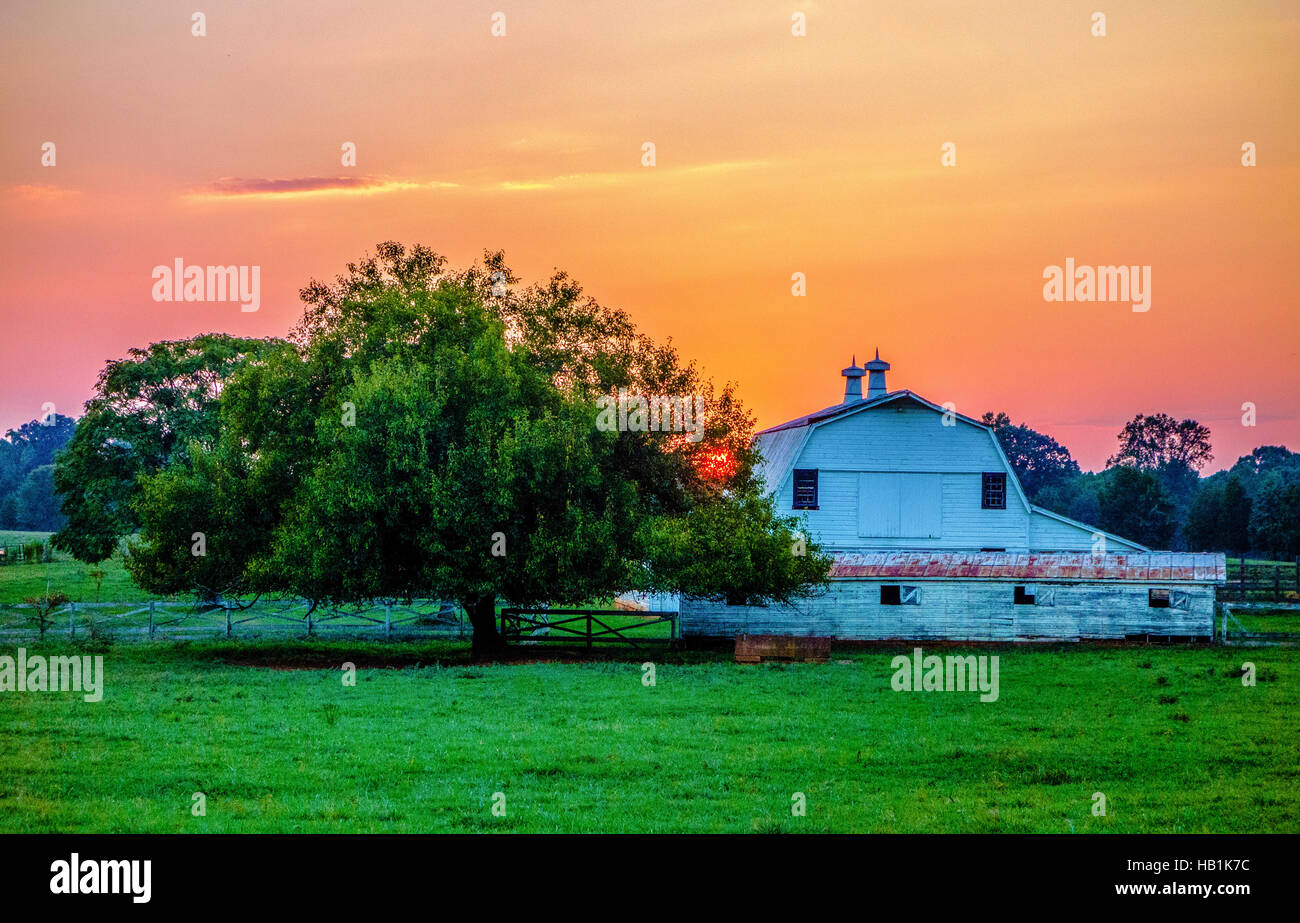 york south carolina white rose city Stock Photo Alamy