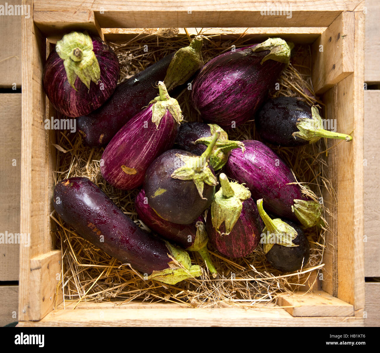 eggplants in a wooden box Stock Photo